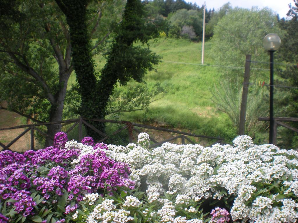 Agriturismo La Baroncella Montemerano Habitación foto